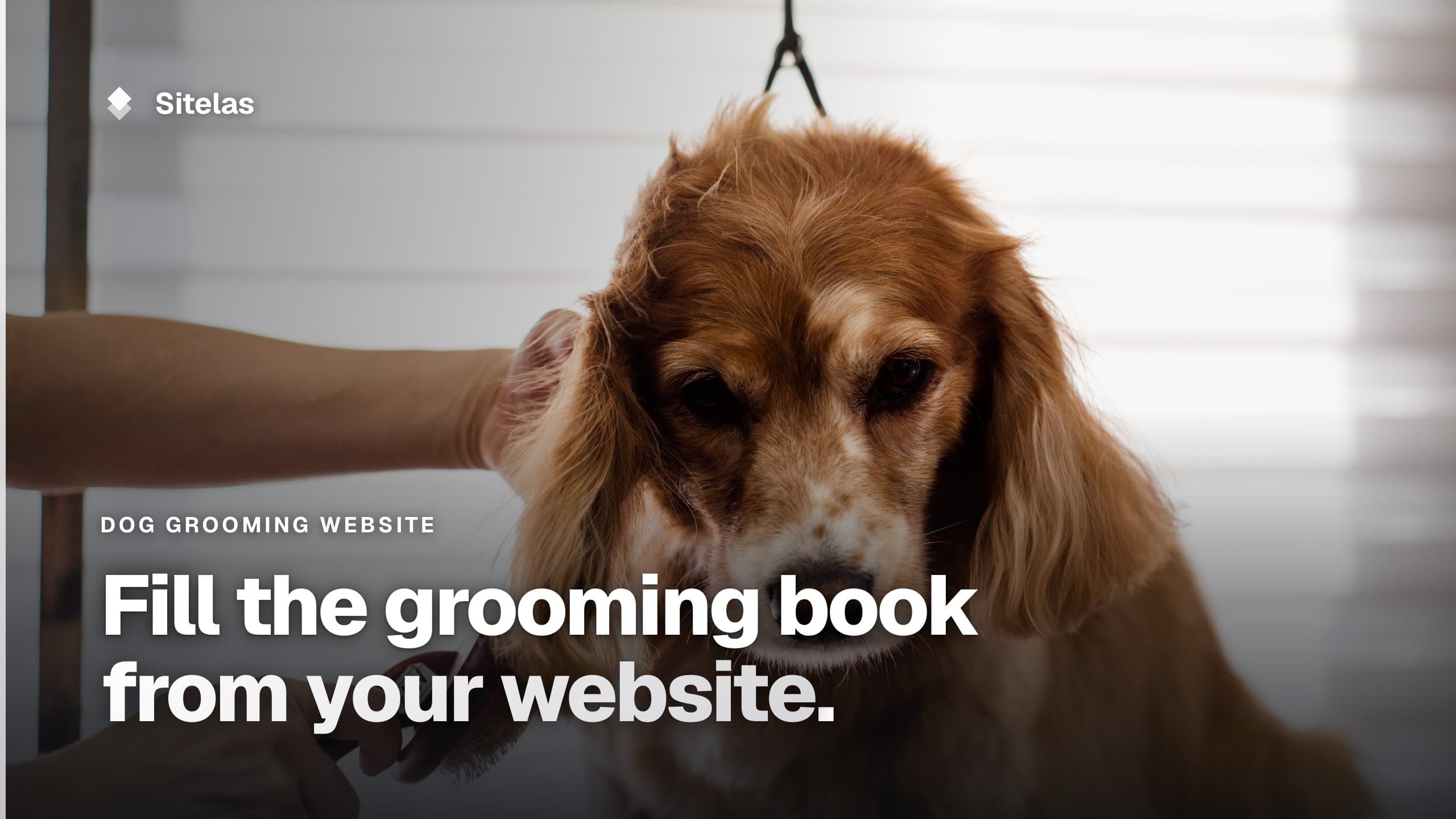 Cover: a groomer brushing the ear of a red cocker spaniel on a grooming table, with the headline "Fill the grooming book from your website."