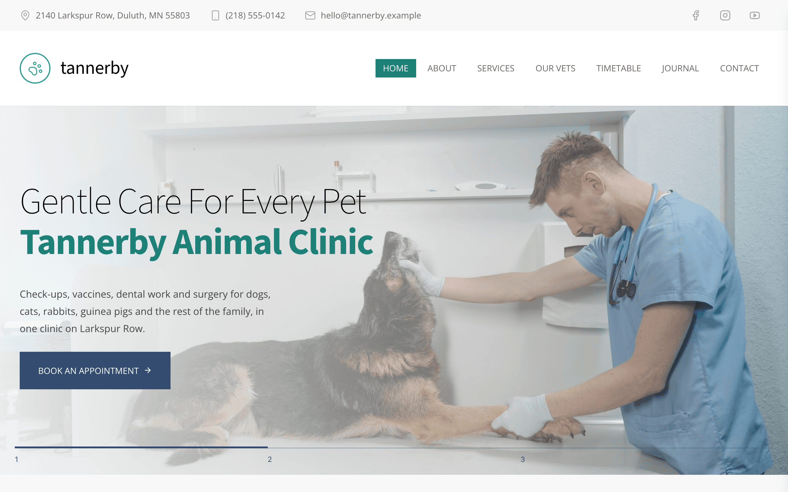 The Fetlock veterinary clinic website template, home page